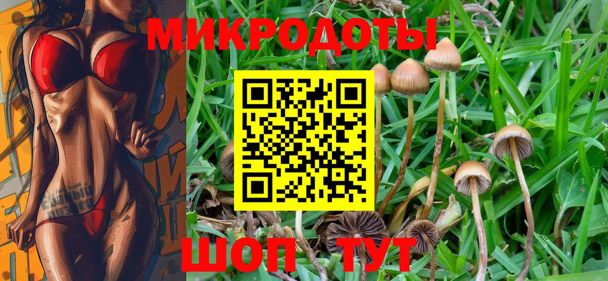 Галлюциногенные грибы мухоморы Павлово