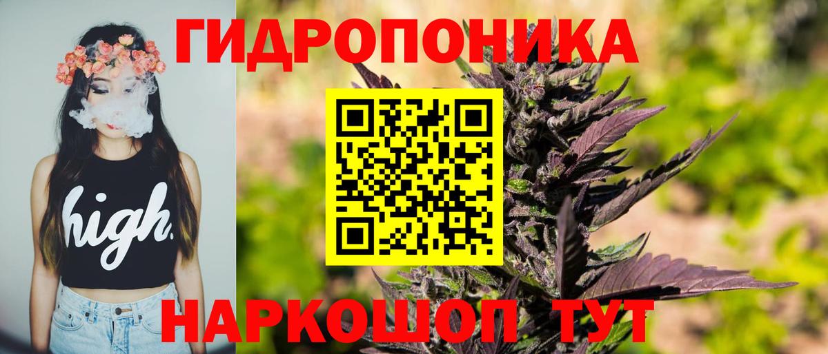 Каннабис OG Kush Павлово